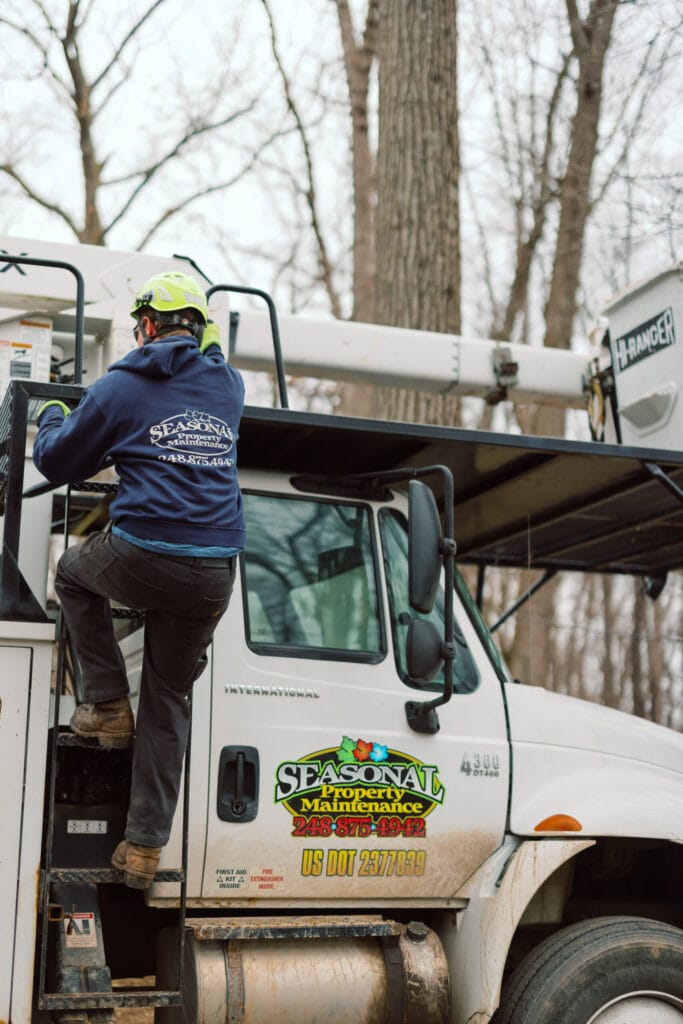 Tree removal service after storm damage in Oakland County, Michigan