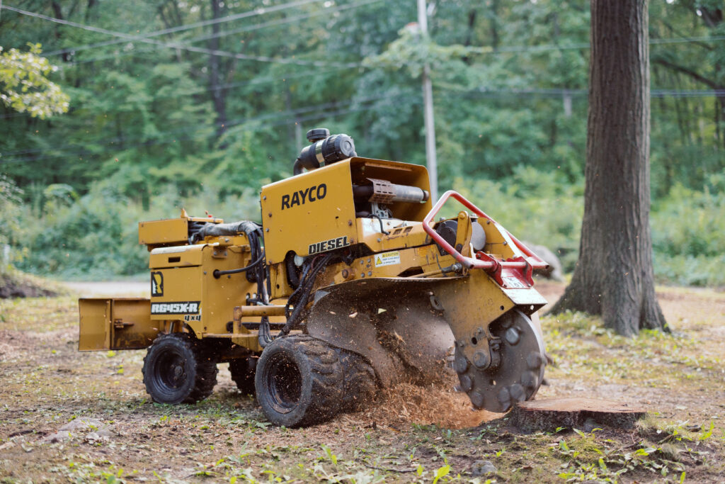 Stump grinding service using professional equipment in a residential yard in Holly, MI