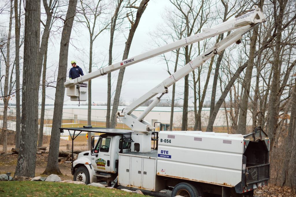 Tree trimming service using a bucket truck in Holly, MI for safe and precise pruning