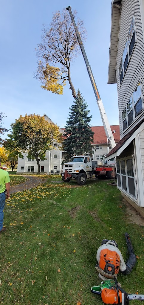 Crane Tree Removal in Fenton MI – Seasonal Property Maintenance Crane lifting large tree limb during residential tree removal in Fenton, Michigan