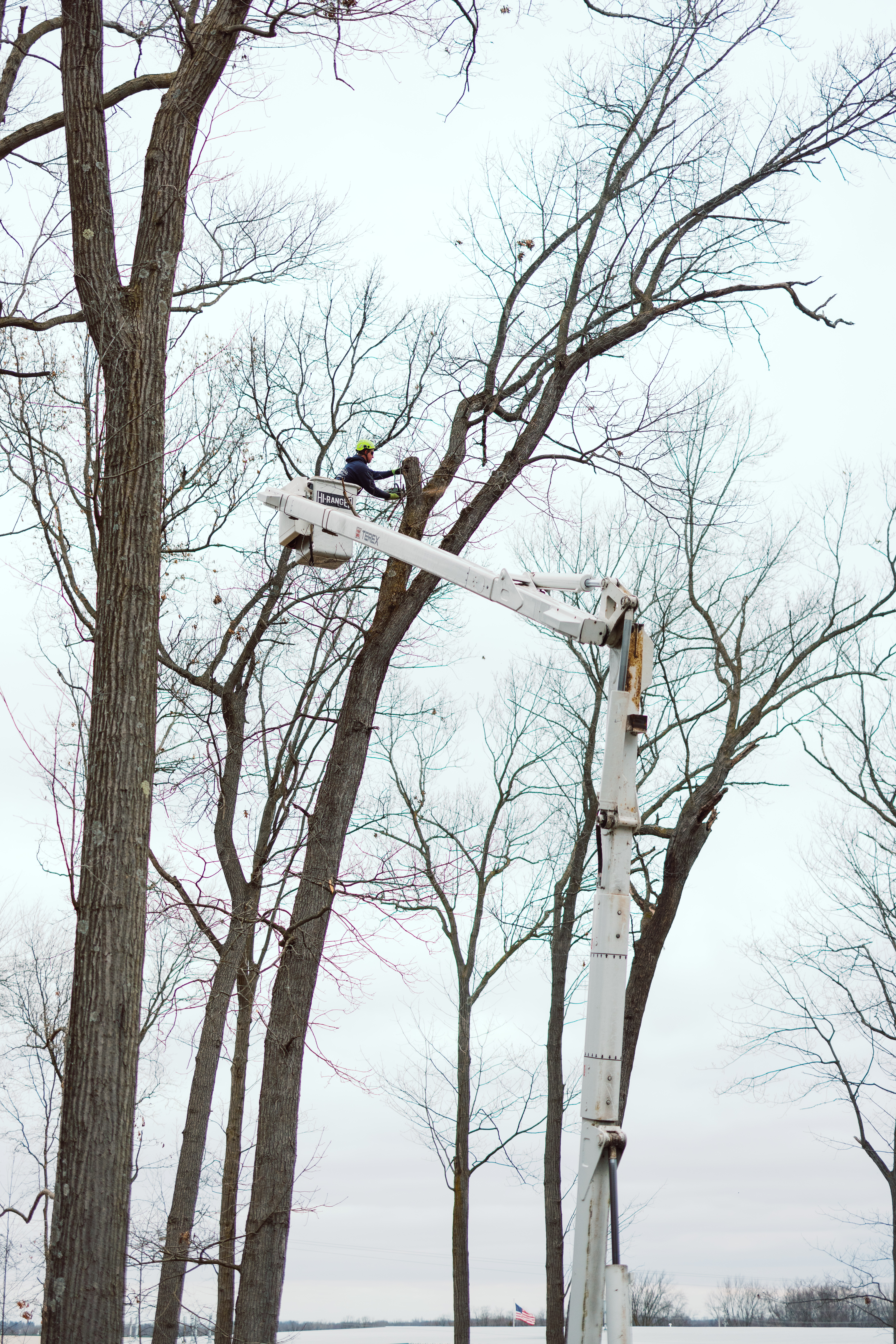 Large tree removal service in Clarkston, MI by local tree service