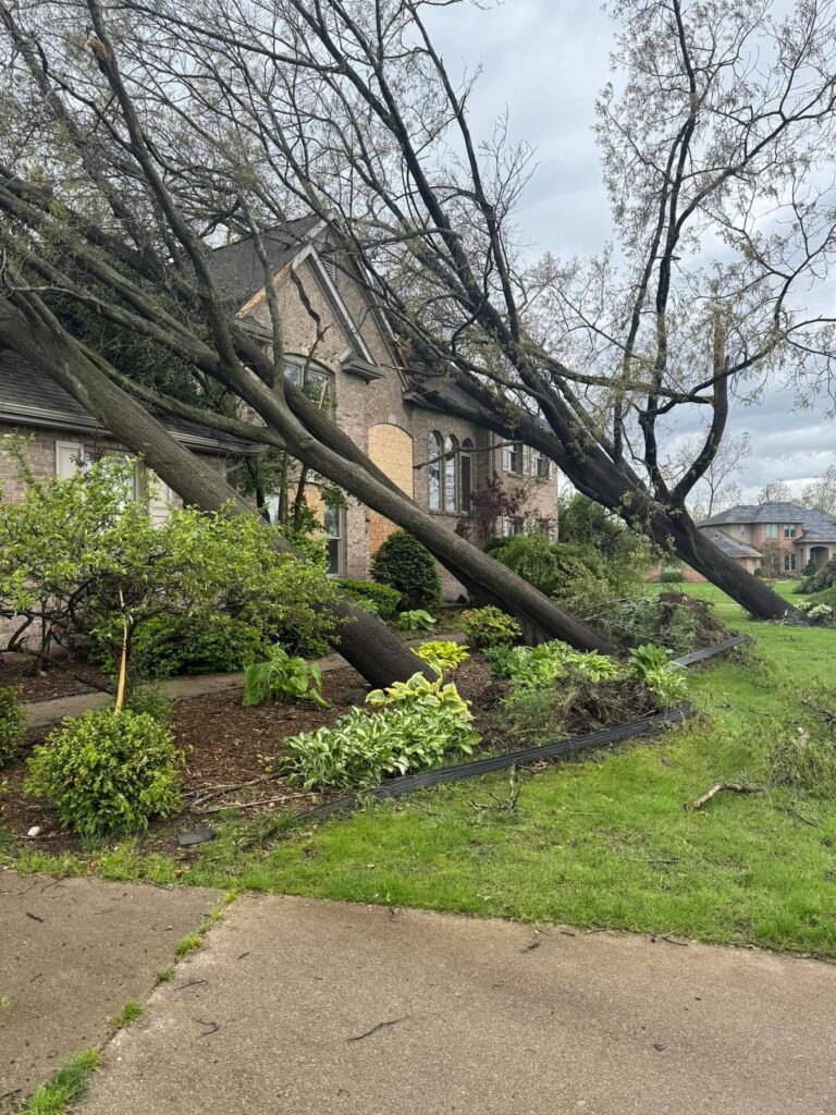 Emergency tree removal service in Portage, MI after storm damage